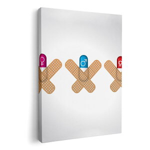 A[gpl G G  IׂTCY 210×148 mm A5 _  ʐ^ tHg CeA  006597 Jnp@JvZ