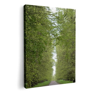 A[gpl G G  IׂTCY 210×148 mm A5 _  ʐ^ tHg CeA  006601 ʐ^@X@A