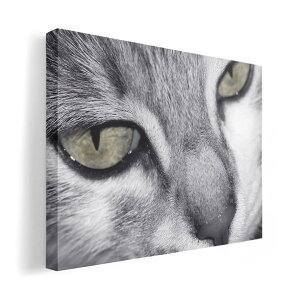 A[gpl G G  IׂTCY 210×148 mm A5 _  ʐ^ tHg CeA  007896 ʐ^@L@˂@mN