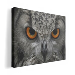 A[gpl G G  IׂTCY 210×148 mm A5 _  ʐ^ tHg CeA  007937 ʐ^@tNE@@ubN