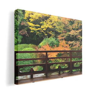 A[gpl G G  IׂTCY 210×148 mm A5 _  ʐ^ tHg CeA  008066 ʐ^@a@@H@gt