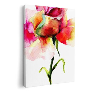 A[gpl G G  IׂTCY 210×148 mm A5 _  ʐ^ tHg CeA  008097 ԁ@t[@ʁ@ԁ@sN