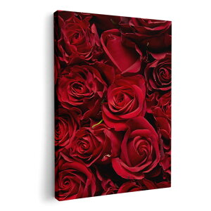 �A�[�g�p�l�� �G �G�� ���� �I�ׂ�T�C�Y 210×148 mm A5 ���_�� ���� �ʐ^ �t�H�g �C���e���A ������� 008204 �ԁ@�t�����[�@�ʐ^�@�K�N�@�ԁ@���b�h