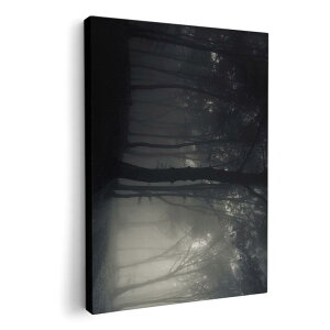 A[gpl G G  IׂTCY 210×148 mm A5 _  ʐ^ tHg CeA  008571 ʐ^@X@@