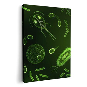 A[gpl G G  IׂTCY 210×148 mm A5 _  ʐ^ tHg CeA  008781 ΁@O[@