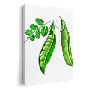 A[gpl G G  IׂTCY 210×148 mm A5 _  ʐ^ tHg CeA  008858 CXg@}@O[@