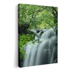 A[gpl G G  IׂTCY 210×148 mm A5 _  ʐ^ tHg CeA  008874 ʐ^@@X