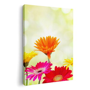 A[gpl G G  IׂTCY 210×148 mm A5 _  ʐ^ tHg CeA  008881 Jt@ʐ^@ԁ@t[