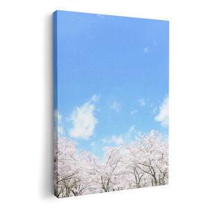 アートパネル 絵 絵画 飾り 選べるサイズ 210×148 mm A5 モダン 玄関 写真 フォト インテリア おしゃれ 009459 フラワー 桜 空 写真