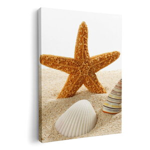 A[gpl G G  IׂTCY 210×148 mm A5 _  ʐ^ tHg CeA  009536 Lk@C@ʐ^