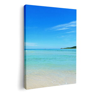 A[gpl G G  IׂTCY 210×148 mm A5 _  ʐ^ tHg CeA  009637 i@C@@ʐ^