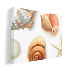 A[gpl G G  IׂTCY 210×148 mm A5 _  ʐ^ tHg CeA  009662 Lk@C@l