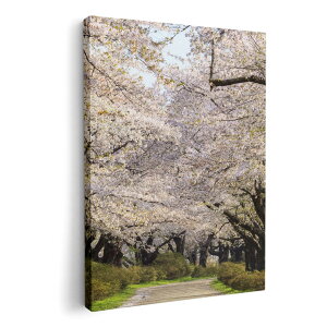 A[gpl G G  IׂTCY 210×148 mm A5 _  ʐ^ tHg CeA  009759 t[@@ʐ^