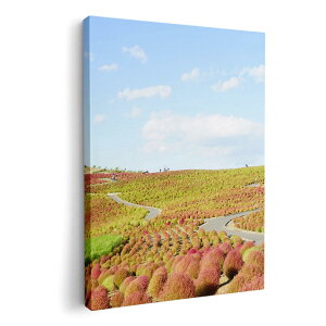 A[gpl G G  IׂTCY 210×148 mm A5 _  ʐ^ tHg CeA  009816 i@iF@ʐ^