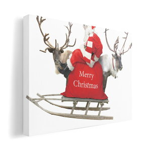 A[gpl G G  IׂTCY 210×148 mm A5 _  ʐ^ tHg CeA  009971 NX}X@T^@ʐ^