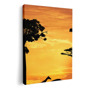 A[gpl G G  IׂTCY 210×148 mm A5 _  ʐ^ tHg CeA  010521 ʐ^@Tt@@