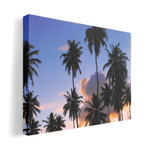 A[gpl G G  IׂTCY 210×148 mm A5 _  ʐ^ tHg CeA  010821 V̖؁@@ʐ^