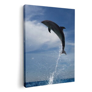 A[gpl G G  IׂTCY 210×148 mm A5 _  ʐ^ tHg CeA  010965 C@CJ@ʐ^