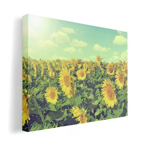 A[gpl G G  IׂTCY 210×148 mm A5 _  ʐ^ tHg CeA  011053 ԁ@Ђ܂@