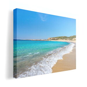 A[gpl G G  IׂTCY 210×148 mm A5 _  ʐ^ tHg CeA  011087 C@r[`@ʐ^