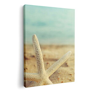 A[gpl G G  IׂTCY 210×148 mm A5 _  ʐ^ tHg CeA  011095 C@r[`@qgf