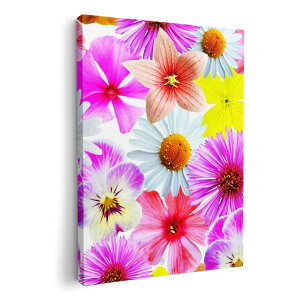 �A�[�g�p�l�� �G �G�� ���� �I�ׂ�T�C�Y 210×148 mm A5 ���_�� ���� �ʐ^ �t�H�g �C���e���A ������� 011115 �ԁ@�t�����[�@�J���t��