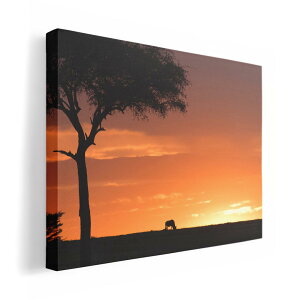 A[gpl G G  IׂTCY 210×148 mm A5 _  ʐ^ tHg CeA  011133 Tt@@@[