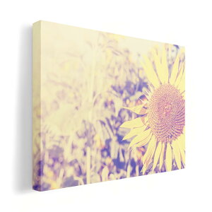 A[gpl G G  IׂTCY 210×148 mm A5 _  ʐ^ tHg CeA  011309 ԁ@Ђ܂@ʐ^