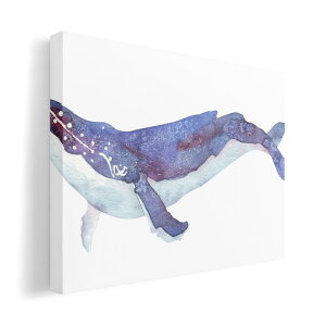 A[gpl G G  IׂTCY 210×148 mm A5 _  ʐ^ tHg CeA  011406 C@@