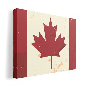 A[gpl G G  IׂTCY 210×148 mm A5 _  ʐ^ tHg CeA  011611 Ji_@O@