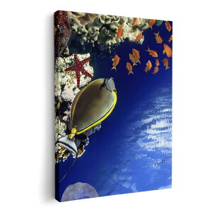 �A�[�g�p�l�� �G �G�� ���� �I�ׂ�T�C�Y 210×148 mm A5 ���_�� ���� �ʐ^ �t�H�g �C���e���A ������� 011673 �C�@���@�X��