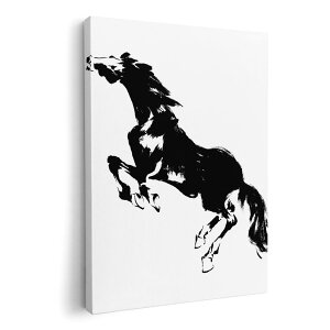 A[gpl G G  IׂTCY 210×148 mm A5 _  ʐ^ tHg CeA  011898 n@VGbg@mg[