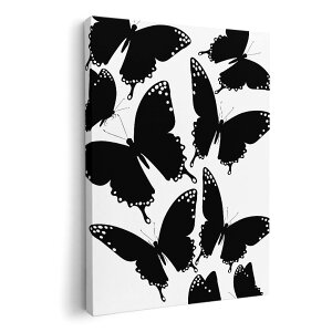 A[gpl G G  IׂTCY 210×148 mm A5 _  ʐ^ tHg CeA  012194 @mg[@