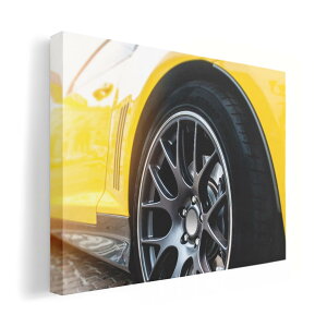 A[gpl G G  IׂTCY 210×148 mm A5 _  ʐ^ tHg CeA  012610 ԁ@ʐ^@F