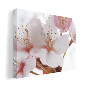 A[gpl G G  IׂTCY 210×148 mm A5 _  ʐ^ tHg CeA  012849 @ԁ@t