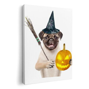 �A�[�g�p�l�� �G �G�� ���� �I�ׂ�T�C�Y 210×148 mm A5 ���_�� ���� �ʐ^ �t�H�g �C���e���A ������� 013835 �n���E�B���@���@����