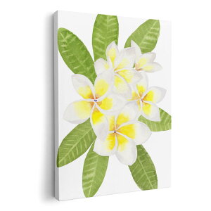 A[gpl G G  IׂTCY 210×148 mm A5 _  ʐ^ tHg CeA  014086 ԁ@t[@F