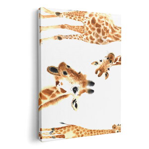 A[gpl G G  IׂTCY 210×148 mm A5 _  ʐ^ tHg CeA  014166 @@Aj}