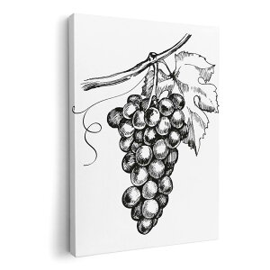 �A�[�g�p�l�� �G �G�� ���� �I�ׂ�T�C�Y 210×148 mm A5 ���_�� ���� �ʐ^ �t�H�g �C���e���A ������� 014232 �Ԃǂ��@�t���[�c�@�ʕ�