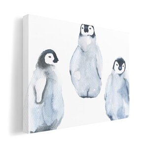 A[gpl G G  IׂTCY 210×148 mm A5 _  ʐ^ tHg CeA  014775 yM@킢@