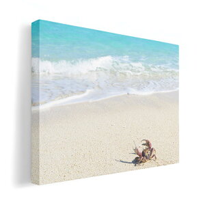 A[gpl G G  IׂTCY 210×148 mm A5 _  ʐ^ tHg CeA  014963 i@R@wi@C@C