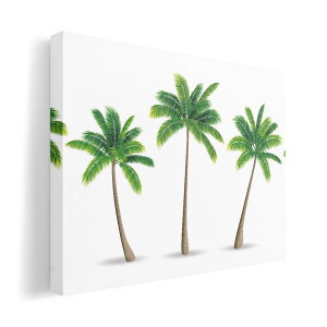 A[gpl G G  IׂTCY 210×148 mm A5 _  ʐ^ tHg CeA  015635 ؁@V̖؁@R