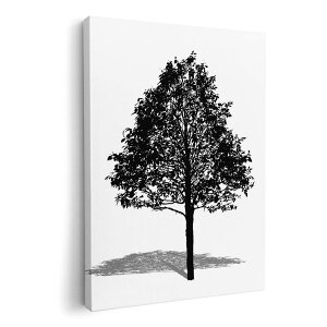 A[gpl G G  IׂTCY 210×148 mm A5 _  ʐ^ tHg CeA  015665 ؁@؁@R@A@mN