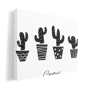 A[gpl G G  IׂTCY 210×148 mm A5 _  ʐ^ tHg CeA  015713 ؁@A@mN@T{e