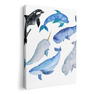 A[gpl G G  IׂTCY 210×148 mm A5 _  ʐ^ tHg CeA  015826 @C@@V`