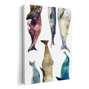 A[gpl G G  IׂTCY 210×148 mm A5 _  ʐ^ tHg CeA  015833 @C@@V`