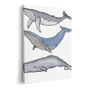 A[gpl G G  IׂTCY 210×148 mm A5 _  ʐ^ tHg CeA  015851 @@C