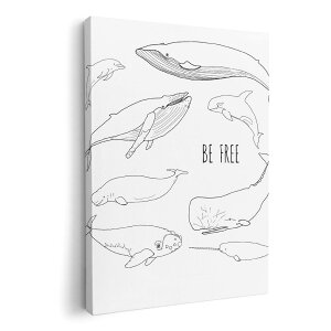 A[gpl G G  IׂTCY 210×148 mm A5 _  ʐ^ tHg CeA  015861 @C@