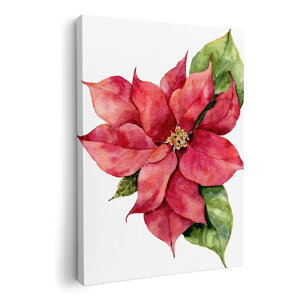 A[gpl G G  IׂTCY 210×148 mm A5 _  ʐ^ tHg CeA  015866 |CZ`A@NX}X@A