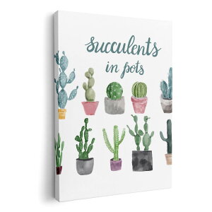 A[gpl G G  IׂTCY 210×148 mm A5 _  ʐ^ tHg CeA  015908 T{e@A